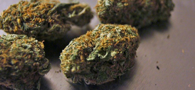 Bild på torkad framställd marijuana.