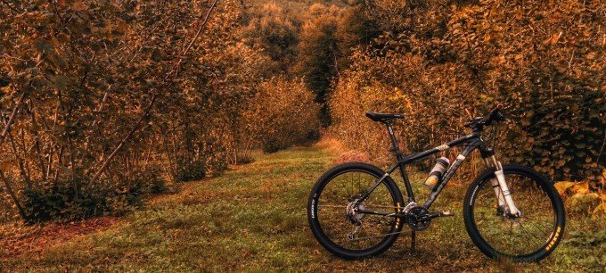 En cykel står parkerad i ett höstlandskap.