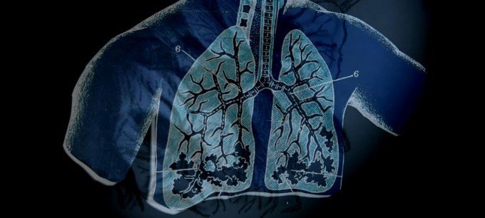 Teckning av ett par lungor över svart bakgrund.