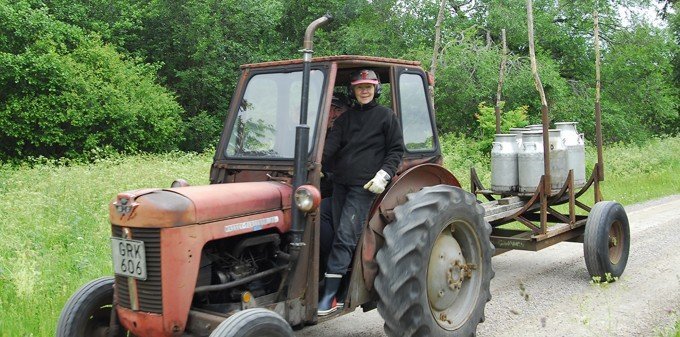 Bonde åker traktor och ska frakta vatten till sina kossor. Kossor som kan bära på bakterien ehec.